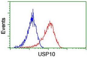 Image no. 8 for anti-Ubiquitin Specific Peptidase 10 (USP10) antibody (ABIN1501688)