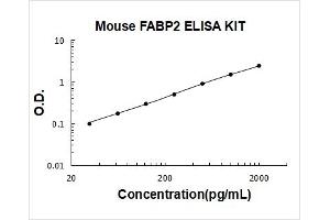 Mouse FABP2 PicoKine ELISA Kit standard curve