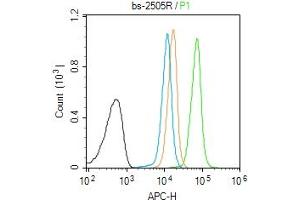 Molt-4 cells were fixed with 4% PFA for 10min at room temperature, permeabilized with 90% ice-cold methanol for 20 min at -20℃, and incubated in 5% BSA blocking buffer for 30 min at room temperature.