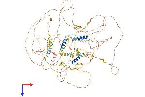 AlphaFold protein structure predicition of Human Recombinant SYNPO Protein, UniprotID Q8N3V7