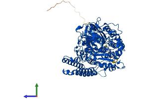 AlphaFold protein structure predicition of Human Recombinant FOLH1 Protein, UniprotID Q04609