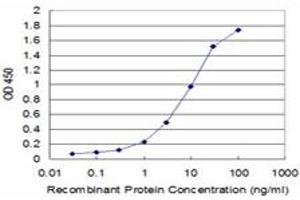 Detection limit for recombinant GST tagged LIPF is approximately 0. (LIPF anticorps  (AA 299-398))