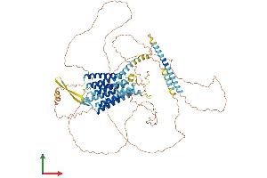 AlphaFold protein structure predicition of Mouse Recombinant Gpr156 Protein, UniprotID Q6PCP7