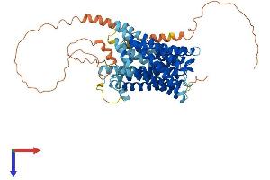 AlphaFold protein structure predicition of Human Recombinant SLC41A2 Protein, UniprotID Q96JW4