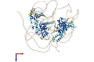 AlphaFold protein structure predicition of Human Recombinant NSD2 Protein, UniprotID O96028