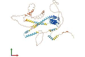 AlphaFold protein structure predicition of Human Recombinant NCOA5 Protein, UniprotID Q9HCD5