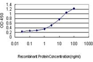 Detection limit for recombinant GST tagged PRKAB1 is approximately 0. (PRKAB1 anticorps  (AA 1-270))