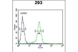 Flow cytometric analysis of 293 cells (right histogram) compared to a negative control cell (left histogram). (CLDN8 anticorps  (AA 140-166))