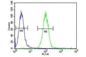 Annexin A1 antibody flow cytometric analysis of A2058 cells (green) compared to a negative control (blue).