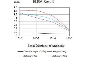 Black line: Control Antigen (100 ng),Purple line: Antigen (10 ng), Blue line: Antigen (50 ng), Red line:Antigen (100 ng) (ATG4B anticorps  (AA 1-221))
