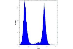 BRAF antibody flow cytometric analysis of HeLa cells (right histogram) compared to a negative control (left histogram).