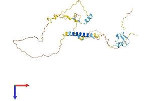 AlphaFold protein structure predicition of Human Recombinant LDLRAD4 Protein, UniprotID O15165