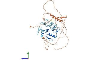 AlphaFold protein structure predicition of Mouse Recombinant Gfi1 Protein, UniprotID P70338