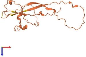 AlphaFold protein structure predicition of Human Recombinant LINC00315 Protein, UniprotID P59091