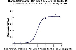Immobilized Human GARP&Latent TGF Beta 1 Complex at 5 μg/mL (100 μL/Well) on the plate.