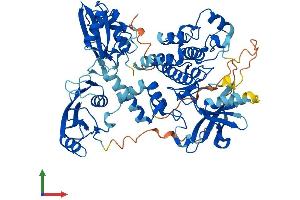 AlphaFold protein structure predicition of Human Recombinant ZAP70 Protein, UniprotID P43403