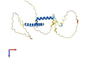 AlphaFold protein structure predicition of Mouse Recombinant Bhlha9 Protein, UniprotID Q5RJB0