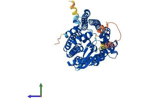 AlphaFold protein structure predicition of Mouse Recombinant Zmpste24 Protein, UniprotID Q80W54