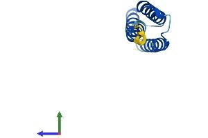 AlphaFold protein structure predicition of Human Recombinant AHSP Protein, UniprotID Q9NZD4
