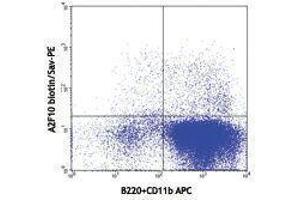 Flow Cytometry (FACS) image for anti-Fms-Related tyrosine Kinase 3 (FLT3) antibody (Biotin) (ABIN2660812) (FLT3 anticorps  (Biotin))
