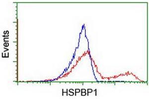 Flow Cytometry (FACS) image for anti-HSPA Binding Protein, Cytoplasmic Cochaperone 1 (HSPBP1) antibody (ABIN1498759) (HSPBP1 anticorps)