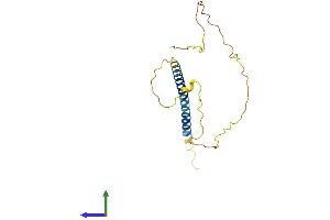 AlphaFold protein structure predicition of Human Recombinant BMF Protein, UniprotID Q96LC9
