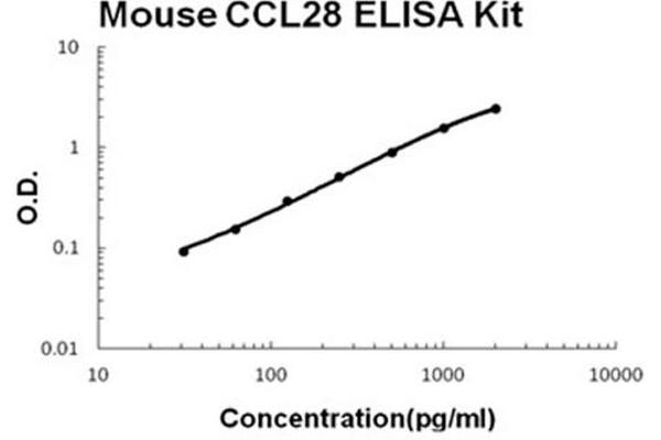 CCL28 Kit ELISA