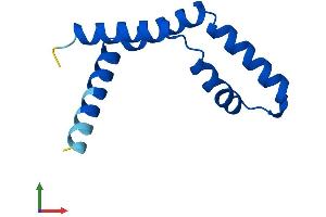AlphaFold protein structure predicition of Human Recombinant ENY2 Protein, UniprotID Q9NPA8