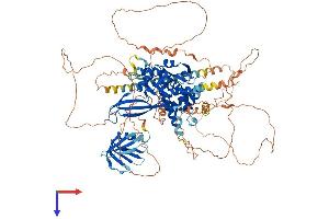 AlphaFold protein structure predicition of Human Recombinant USP37 Protein, UniprotID Q86T82
