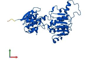 AlphaFold protein structure predicition of Human Recombinant GRHPR Protein, UniprotID Q9UBQ7
