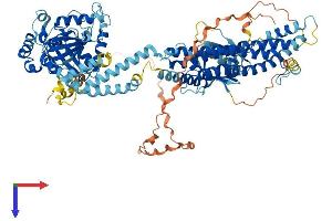 AlphaFold protein structure predicition of Human Recombinant DNM3 Protein, UniprotID Q9UQ16