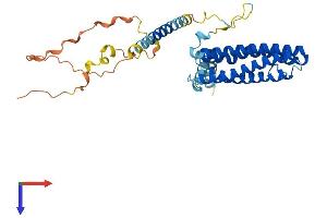 AlphaFold protein structure predicition of Human Recombinant SCAMP3 Protein, UniprotID O14828