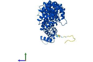AlphaFold protein structure predicition of Mouse Recombinant Armc6 Protein, UniprotID Q8BNU0