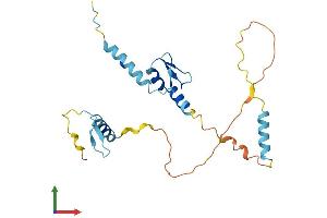 AlphaFold protein structure predicition of Human Recombinant SCNM1 Protein, UniprotID Q9BWG6