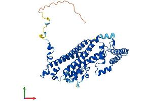 AlphaFold protein structure predicition of Mouse Recombinant Tdo2 Protein, UniprotID P48776
