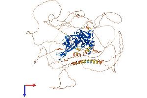 AlphaFold protein structure predicition of Human Recombinant USP53 Protein, UniprotID Q70EK8