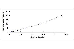 Typical standard curve