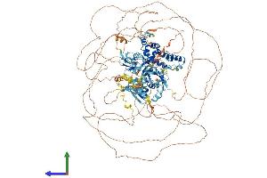 AlphaFold protein structure predicition of Mouse Recombinant Rgs12 Protein, UniprotID Q8CGE9