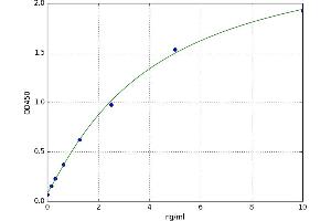 A typical standard curve
