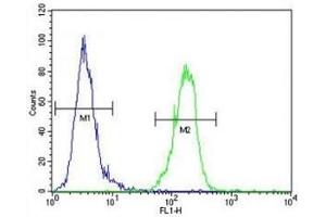 AKT1 antibody flow cytometric analysis of MDA-MB435 cells (green) compared to a negative control (blue).