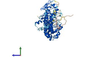 AlphaFold protein structure predicition of Mouse Recombinant Asb15 Protein, UniprotID Q8VHS6