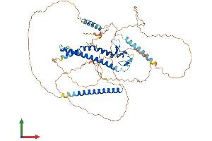 AlphaFold protein structure predicition of Human Recombinant MLPH Protein, UniprotID Q9BV36