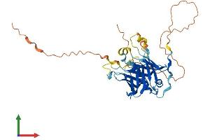 AlphaFold protein structure predicition of Mouse Recombinant Plscr4 Protein, UniprotID P58196