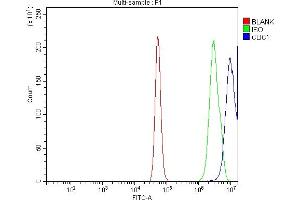 Flow Cytometry analysis of A431 cells using anti-CLIC1 antibody (ABIN7601812).