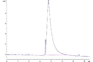 The purity of Cynomolgus M-CSF is greater than 95 % as determined by SEC-HPLC. (M-CSF/CSF1 Protein (AA 33-255) (His tag))