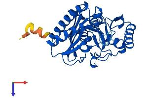 AlphaFold protein structure predicition of Human Recombinant IMPA2 Protein, UniprotID O14732