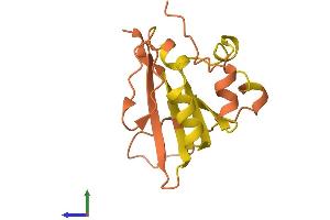 AlphaFold protein structure predicition of Human Recombinant TPTE2P1 Protein, UniprotID Q5T6R2