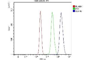 Flow Cytometry analysis of HepG2 cells using anti-USP16 antibody (ABIN7599650).