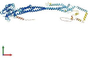 AlphaFold protein structure predicition of Mouse Recombinant Mfn2 Protein, UniprotID Q80U63