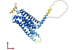AlphaFold protein structure predicition of Human Recombinant CNR2 Protein, UniprotID P34972